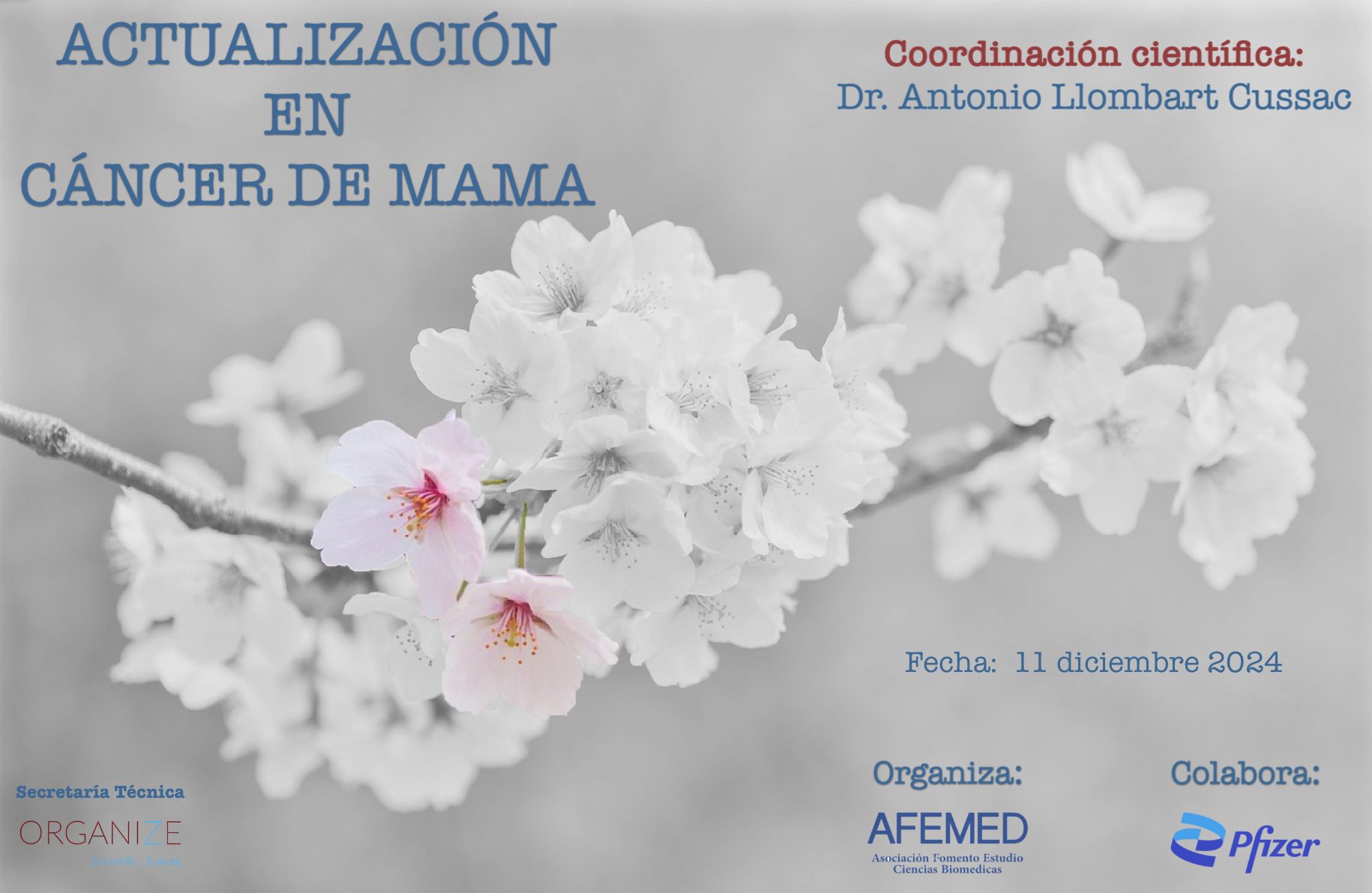 ACTUALIZACIÓN EN CÁNCER DE MAMA